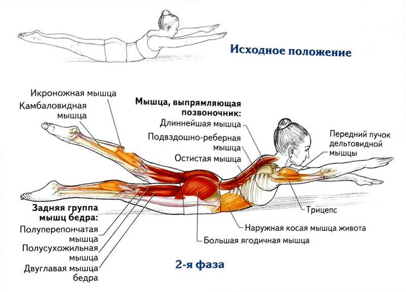 Всё, что вы хотели знать об упражнении «ножницы» | rulebody.ru — правила тела