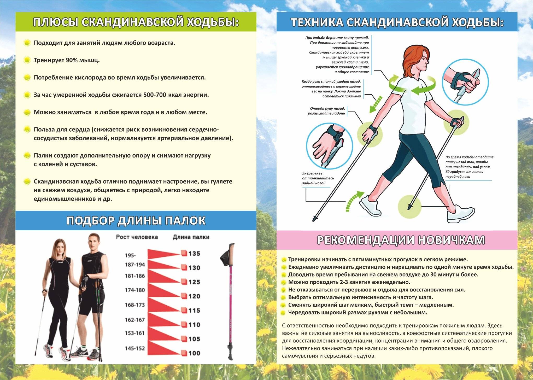 Cкандинавская ходьба: как правильно ходить для быстрого похудения