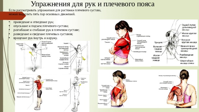 ‍♀ легкие упражнения для растяжки рук и плечевого пояса на 2021 год