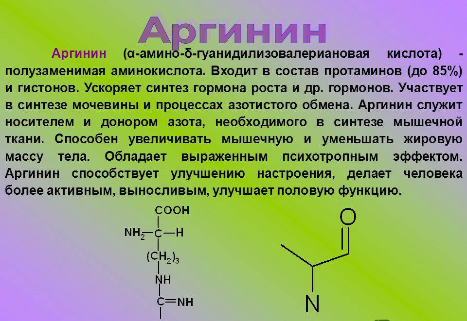 Аминокислоты - свойства и польза для организма