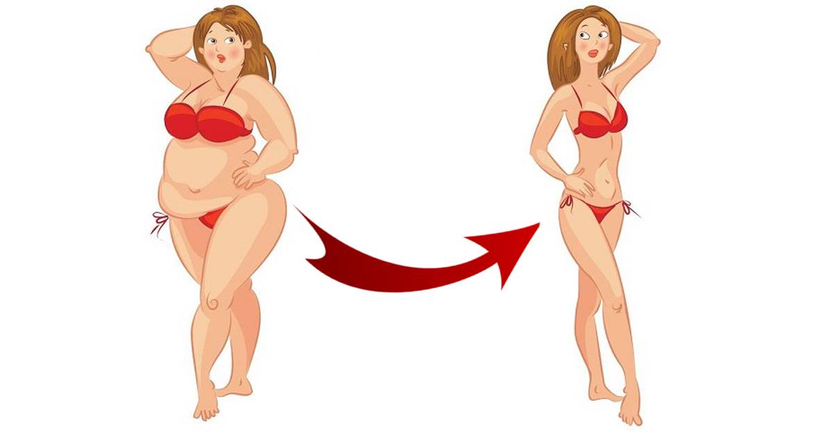 Как сжечь подкожный жир и убрать живот? научная стратегия похудения