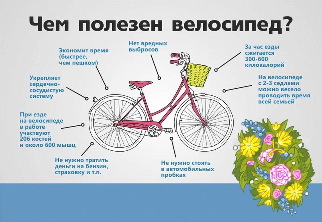 Как выбрать первый велосипед