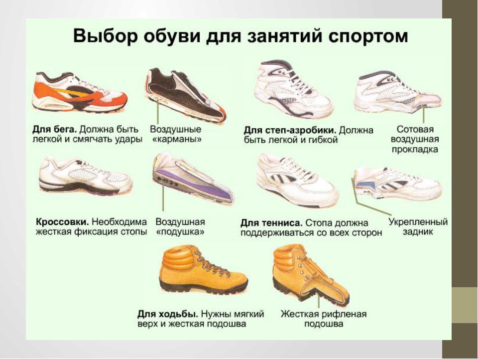 Виды спортивной обуви
