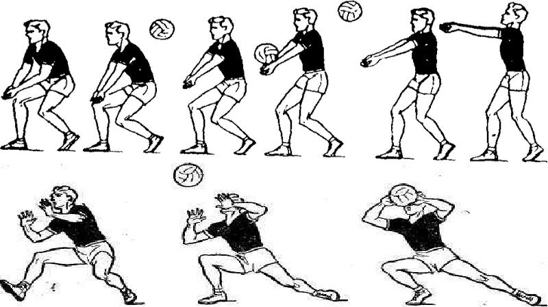 Учимся вращать баскетбольный мяч на пальце: 6 важных нюансов