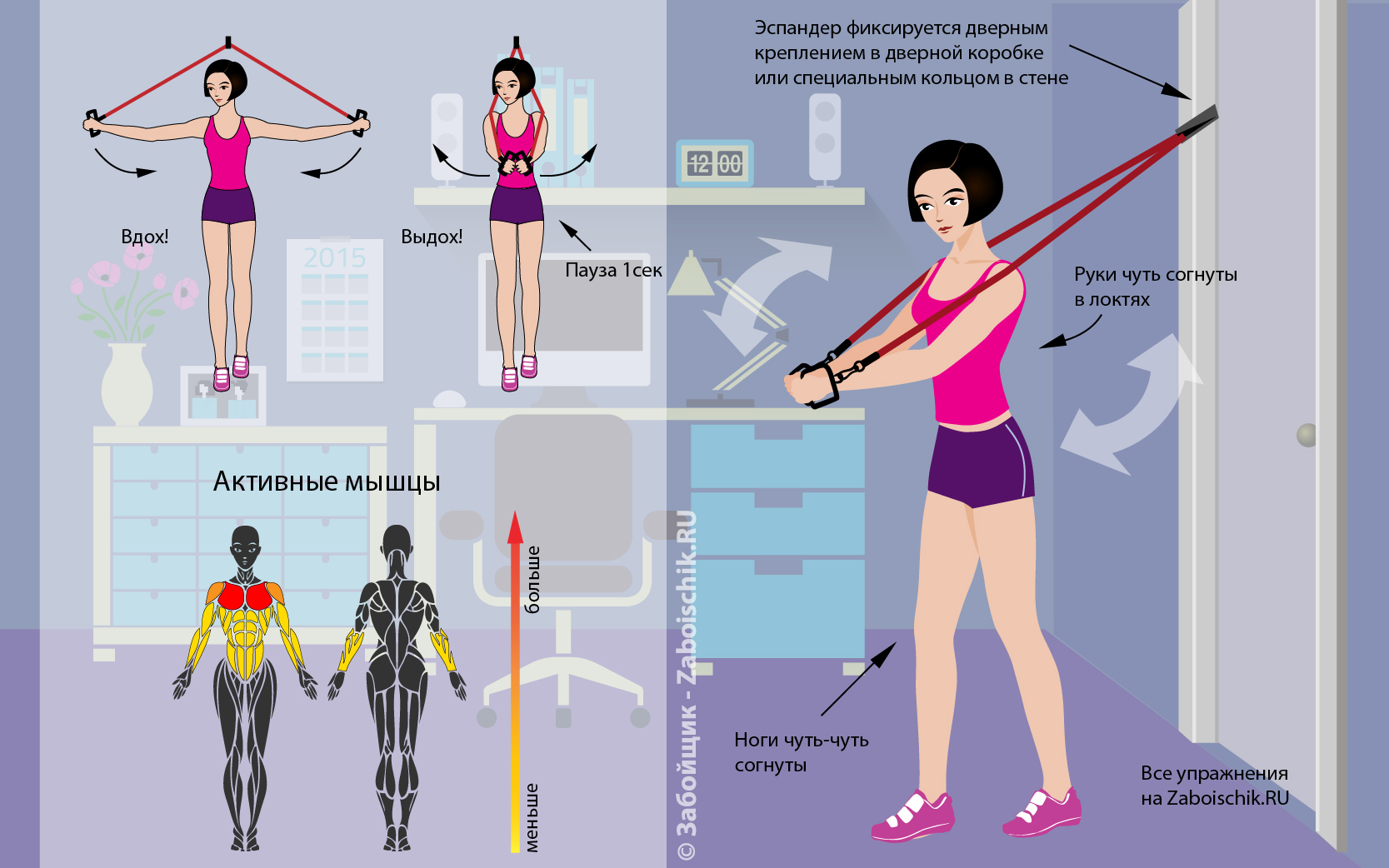 Упражнения с резиновым эспандером: для женщин и для мужчин в домашних условиях | irksportmol.ru