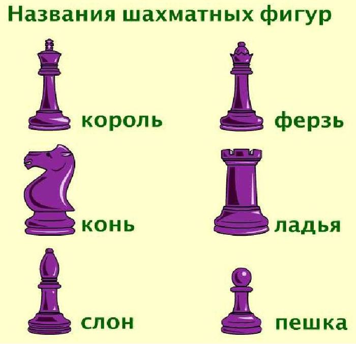 Как ходят фигуры в шахматах: правила игры, названия и практические советы :: syl.ru