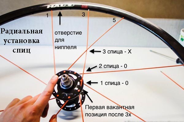 Обрыв велосипедных спиц и ремонт своими руками - zetsila
