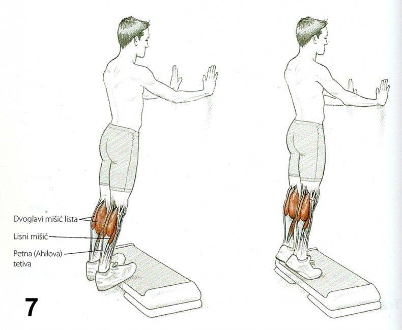 Подъем на носки с гантелями: техника выполнения, какие мышцы работают