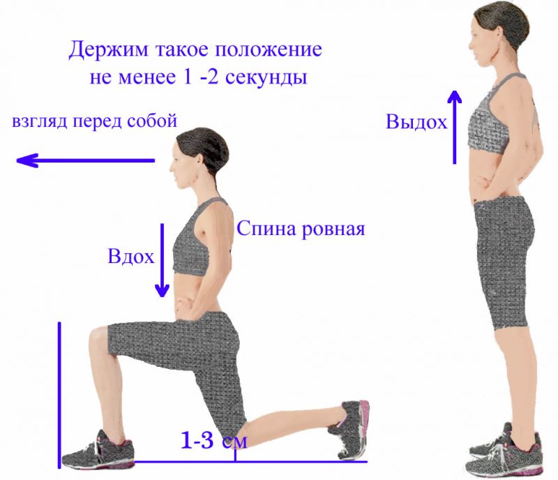Как правильно приседать с гантелями: тонкости выполнения упражнений - tony.ru
