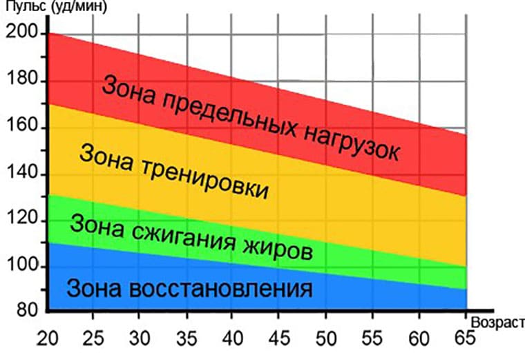 Таблица норм пульса по возрасту и причины отклонения чсс в большую и меньшую стороны