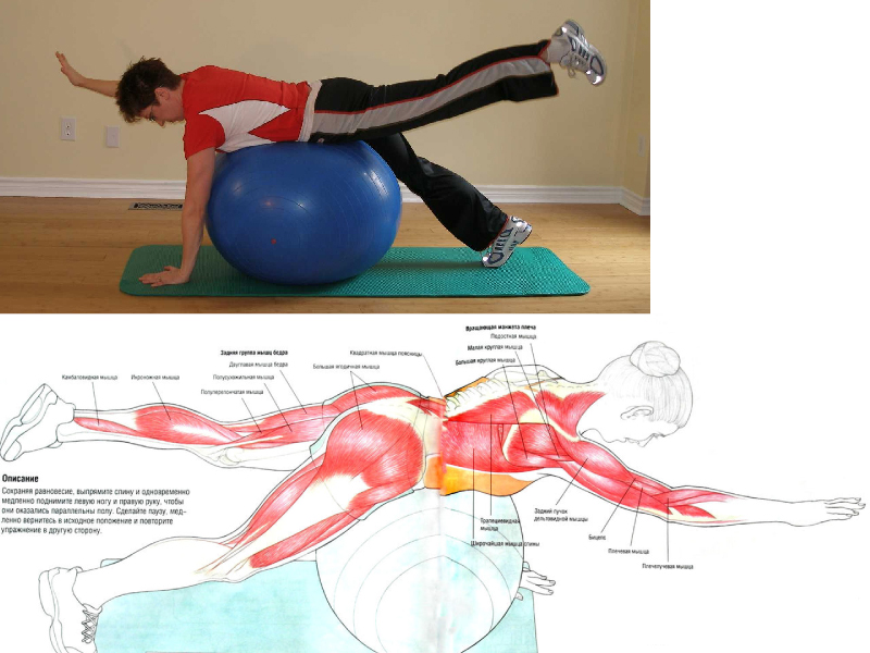 Растяжка на фитболе упражнения