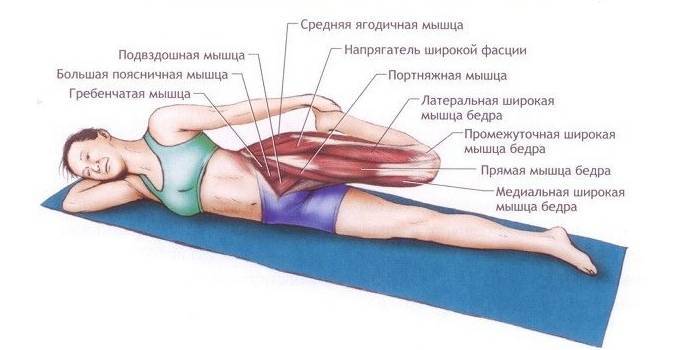 Подвздошно-поясничная мышца — где находится, как расслабить и вытянуть