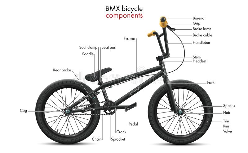 Велосипед bmx (трюковые): чем отличается и как выбрать?