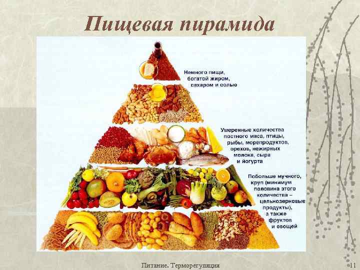Вегетарианская пищевая пирамида: польза, вред, продукты | food and health