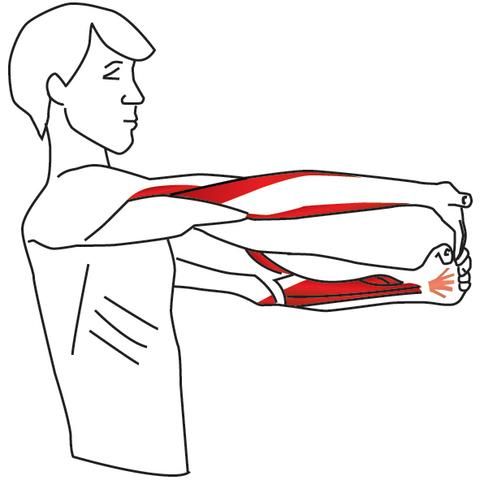 Растяжка рук: упражнения на растяжку бицепса, трицепса и предплечья