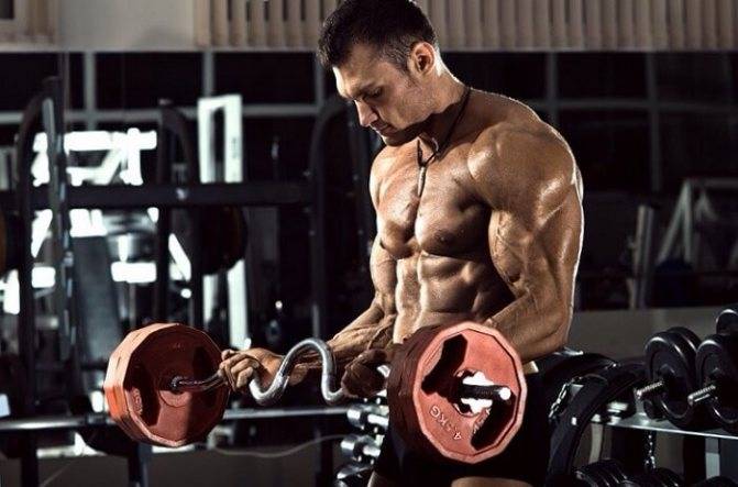 Гипертрофия мышц: обзор принципов тренировки для увеличения массы мышц. часть 1 | fpa