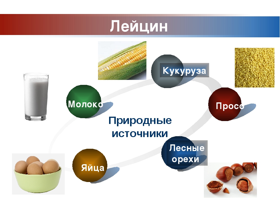Аминокислоты в организме и продуктах питания: источники, польза | food and health