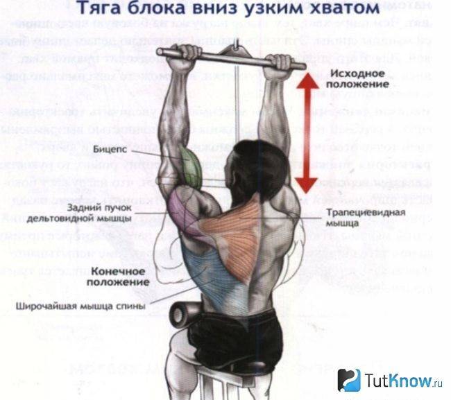 Тяга верхнего блока параллельным хватом: какие мышцы работают, техника выполнения - tony.ru